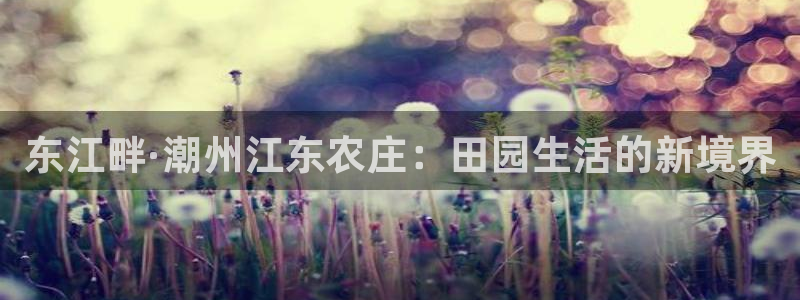 摩根娱乐宝在哪里登录