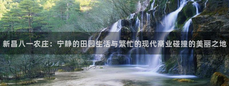 摩根克里克娱乐公司