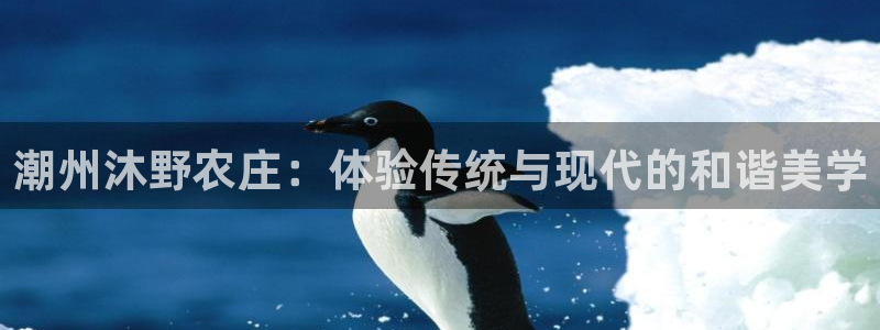 摩根娱乐团
