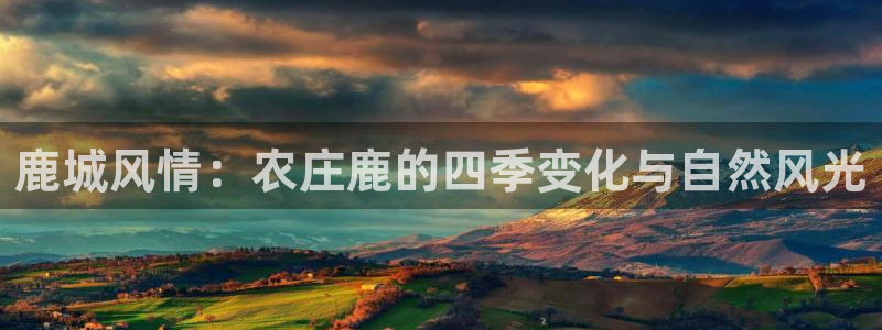 摩根娱乐宝总部