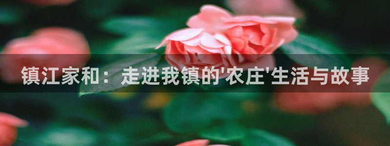 成都摩根娱乐会所
