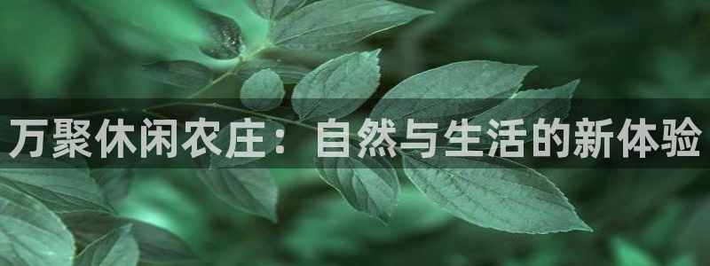 摩根娱乐宝账户
