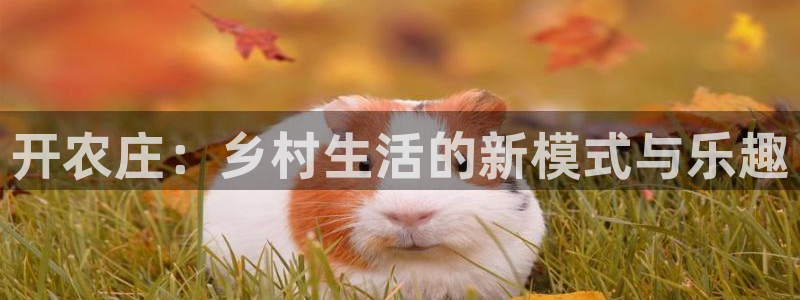 摩根娱乐宝在哪里登录