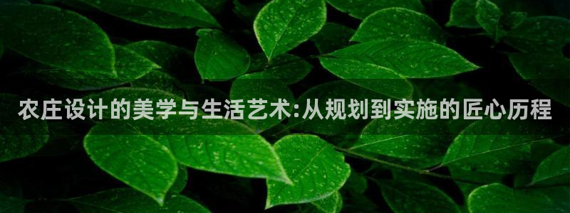 摩根娱乐宝骗了多少人