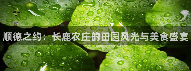 义乌市摩根娱乐厅