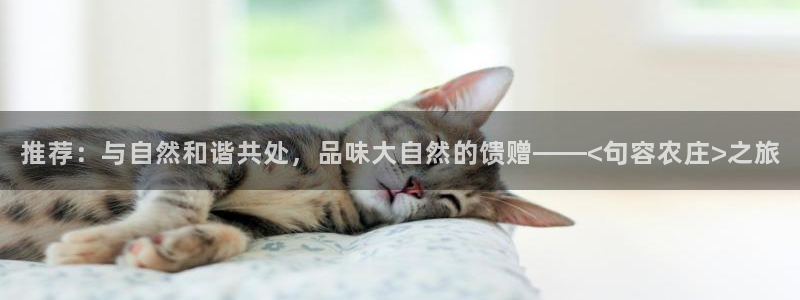 义乌摩根娱乐会所邮箱