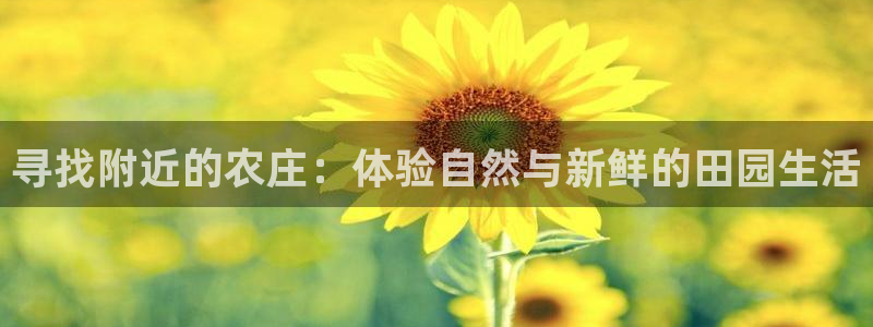 浙江义乌摩根娱乐场所