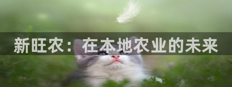摩根100娱乐会所