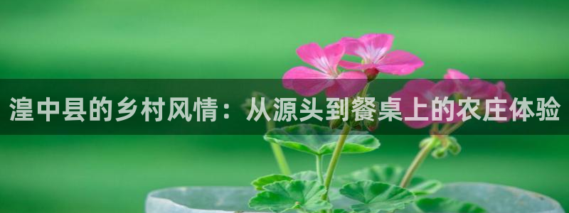 摩根娱乐宝是真的吗