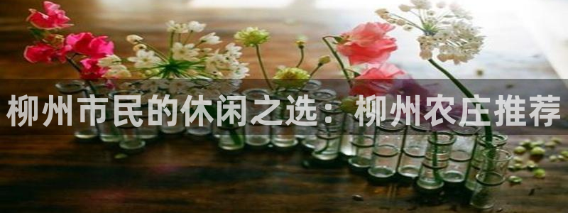 娱乐解说摩根