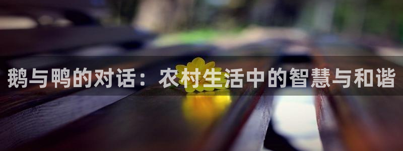 摩根国际娱乐宝进不去