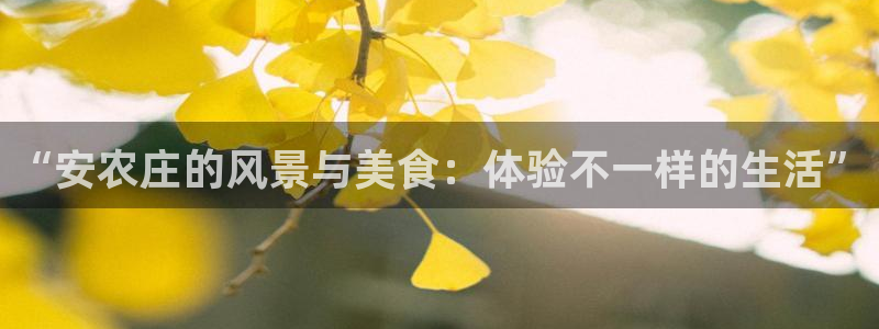 摩根娱乐宝是骗局