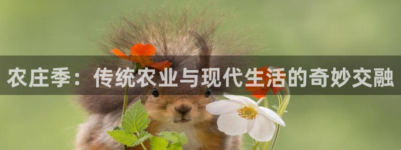 义务摩根娱乐会所