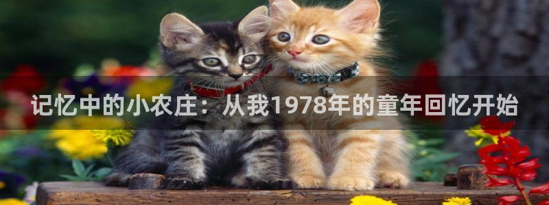 摩根娱乐是什么意思