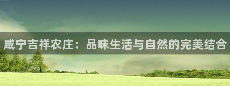 摩根娱乐宝微交易