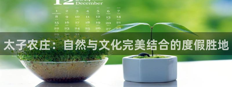 摩根娱乐宝平台下载