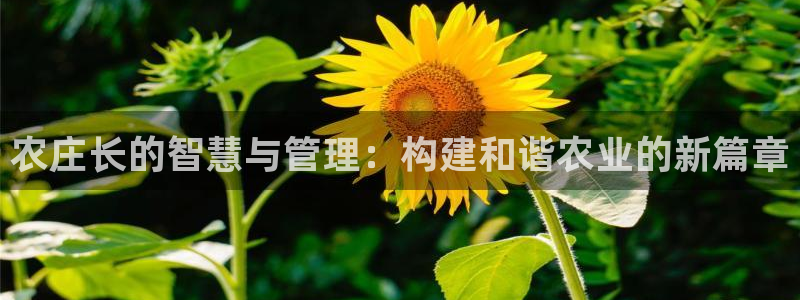 摩根说娱乐