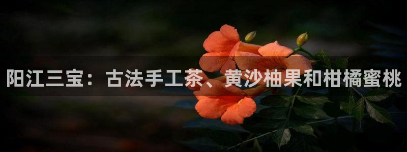 摩根娱乐宝教程