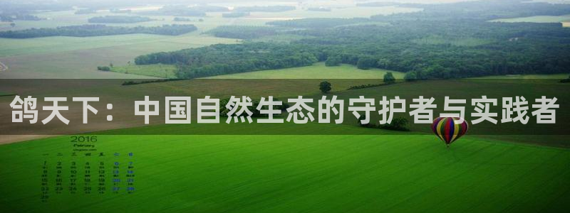 摩根国际娱乐
