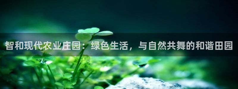 摩根娱乐宝是什么东西