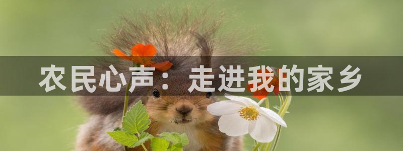 义乌摩根国际娱乐会所