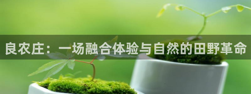 泉州摩根会娱乐保安公司