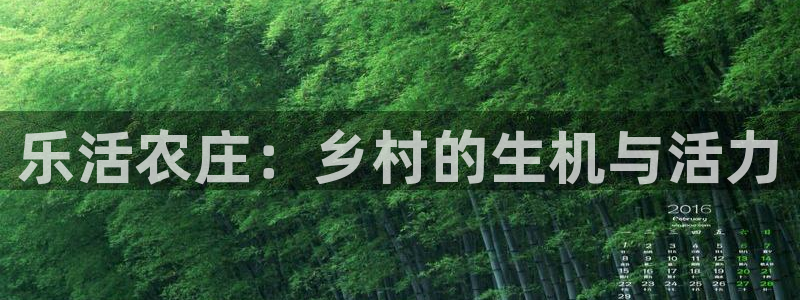 摩根娱乐包是什么