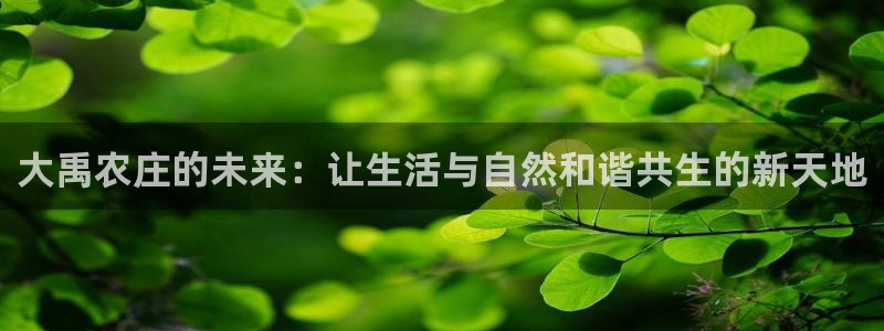 摩根国际亚太娱乐宝