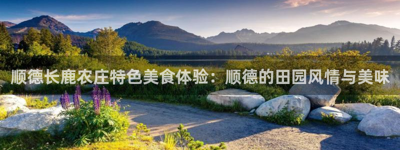 摩根娱乐登录入口网站