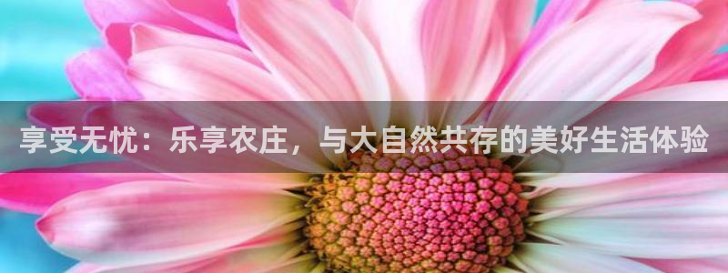 摩根国际娱乐宝官网