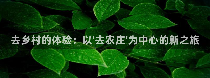 摩根娱乐宝怎么盈利
