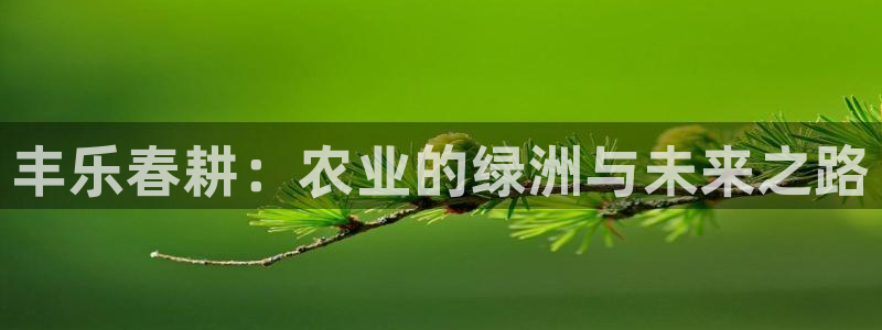 摩根娱乐宝总部