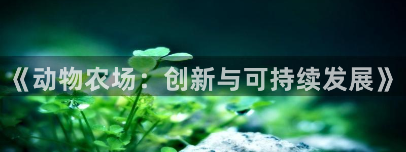 白宫摩根会娱乐会所