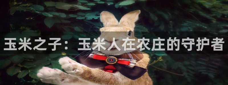 摩根娱乐宝怎么赚钱