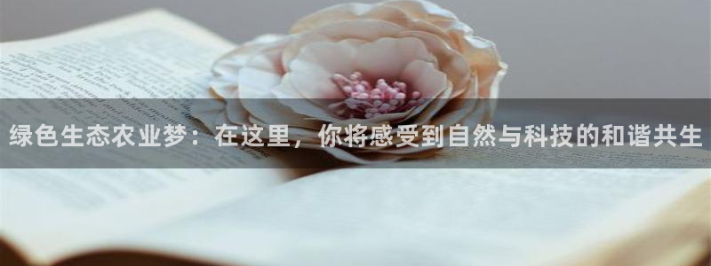 白宫摩根娱乐地址
