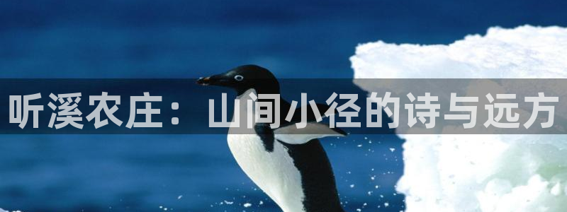 泉州摩根会娱乐有限公司