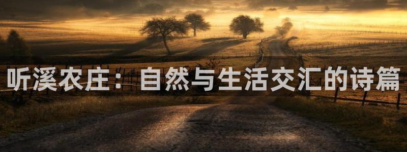 摩根娱乐宝怎么进入