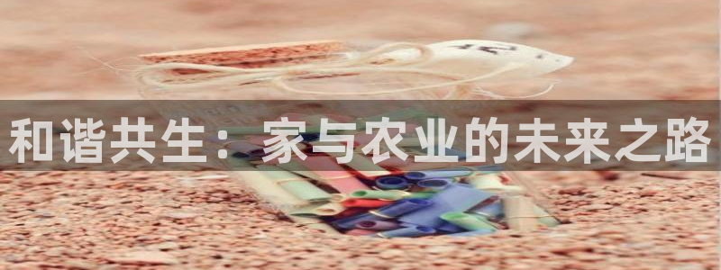 摩根娱乐宝平台