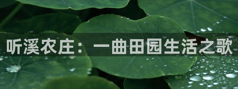 摩根娱乐宝是什么东西