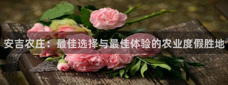 摩根娱乐电玩