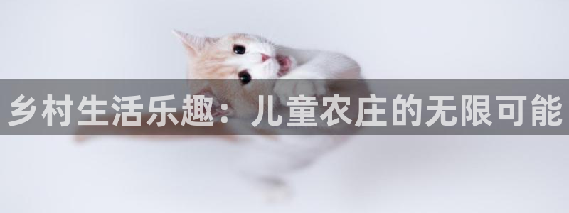 摩根娱乐开户总s管50015 15