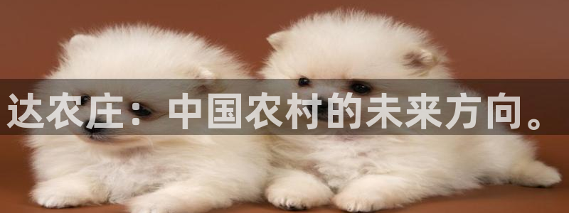 摩根合约娱乐宝
