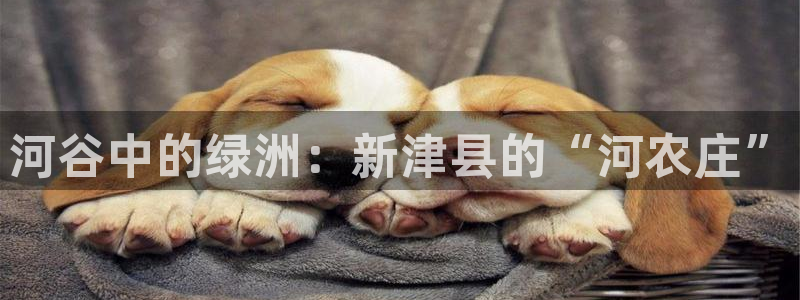 摩根娱乐宝是什么