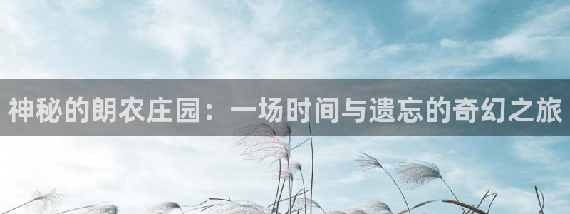 摩根娱乐50186联系