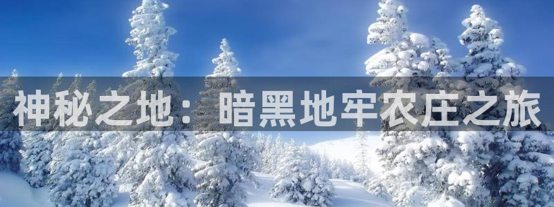 摩根娱乐宝与
