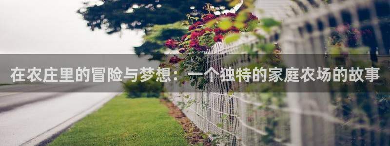 摩根娱乐宝是什么意思