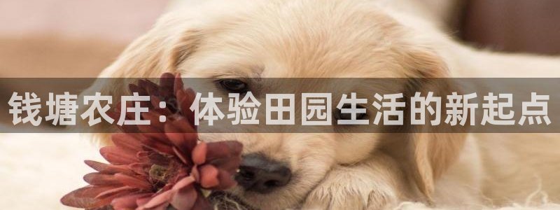 摩根娱乐宝可信吗