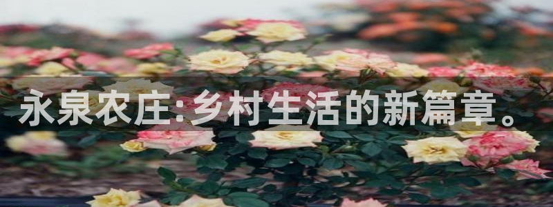 摩根国际娱乐宝官网