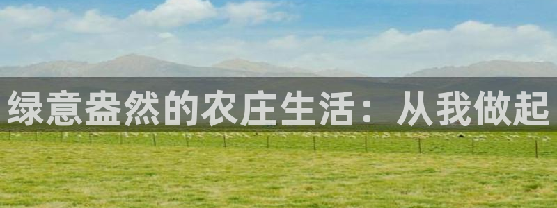 海贼王之娱乐摩根斯
