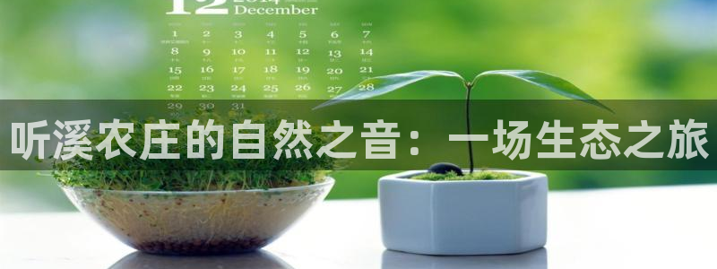 福建泉州白宫摩根会娱乐